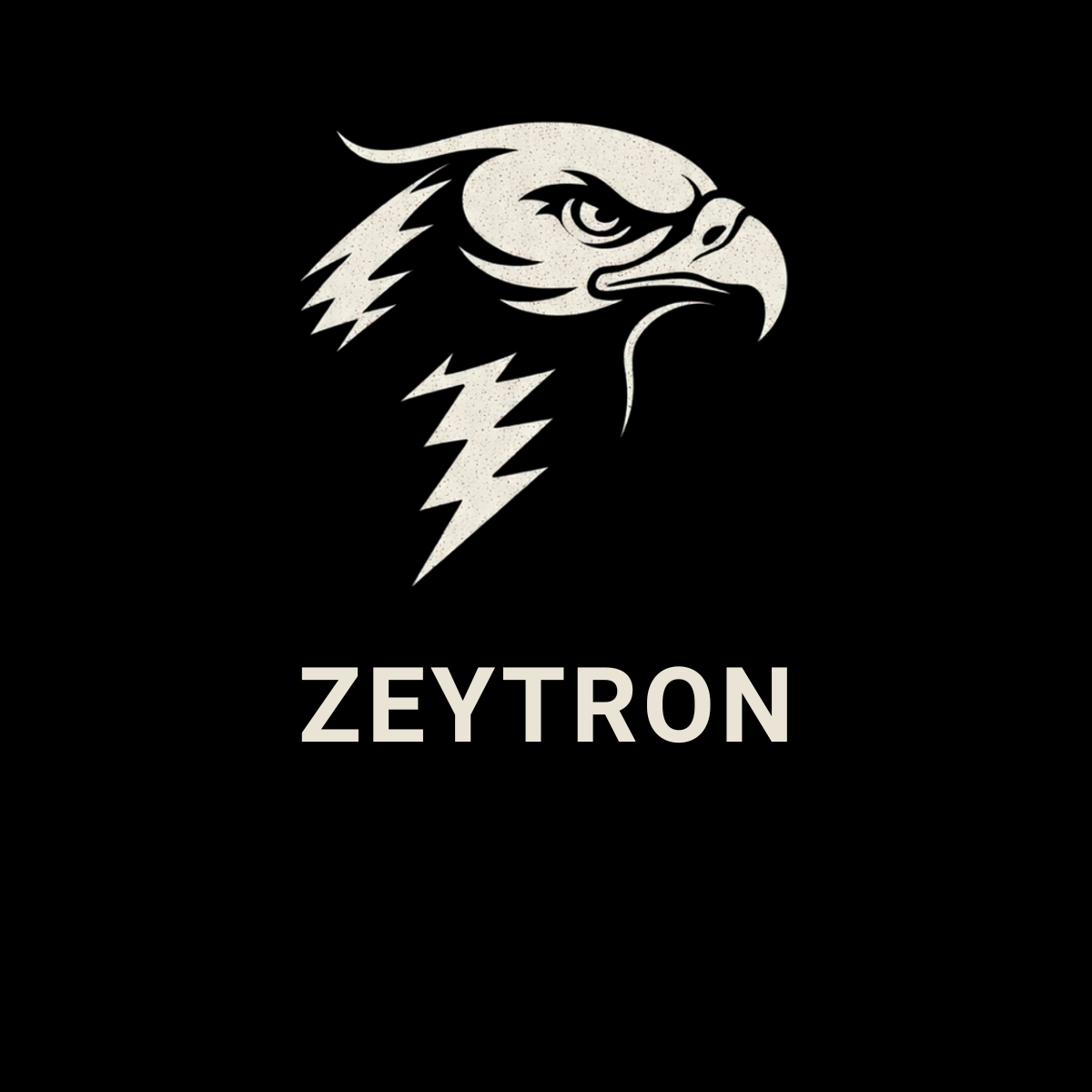 Logo Zeytron